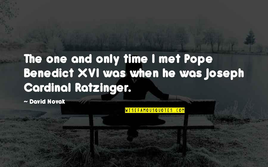Cardinal Quotes By David Novak: The one and only time I met Pope Cardinal Quotes By David Novak: The one and only time I met Pope