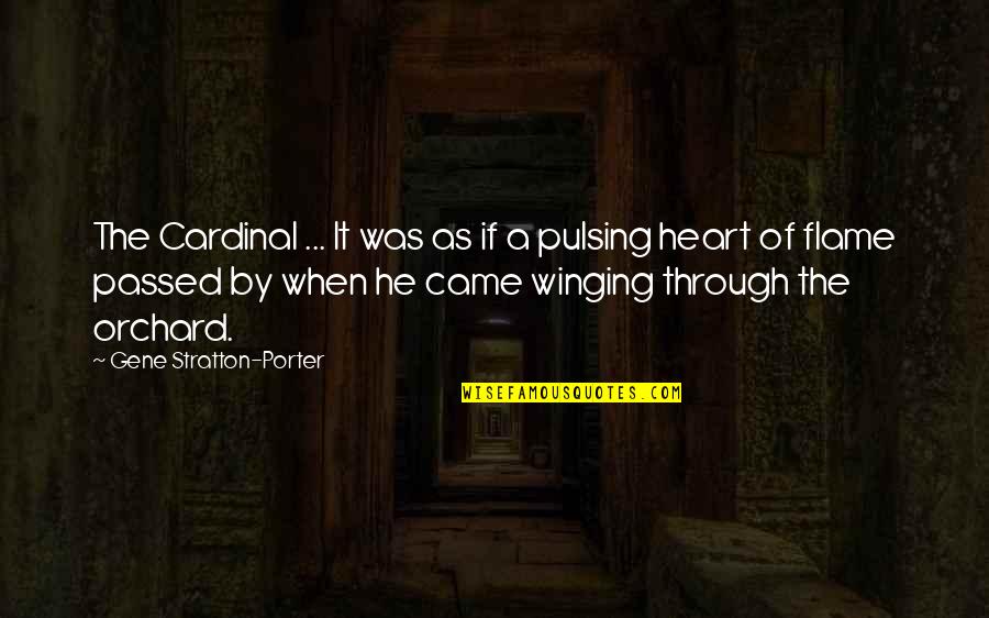 Cardinal Quotes By Gene Stratton-Porter: The Cardinal ... It was as if a