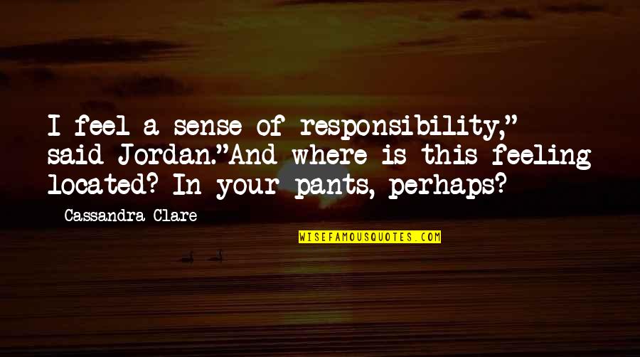 Cardinal Robert Sarah Quotes By Cassandra Clare: I feel a sense of responsibility," said Jordan."And