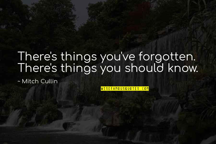 Cardio Kickboxing Quotes By Mitch Cullin: There's things you've forgotten. There's things you should