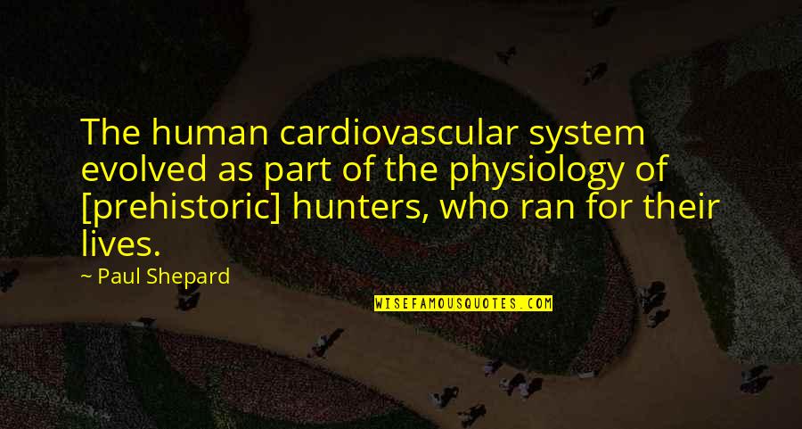 Cardiovascular Endurance Quotes By Paul Shepard: The human cardiovascular system evolved as part of