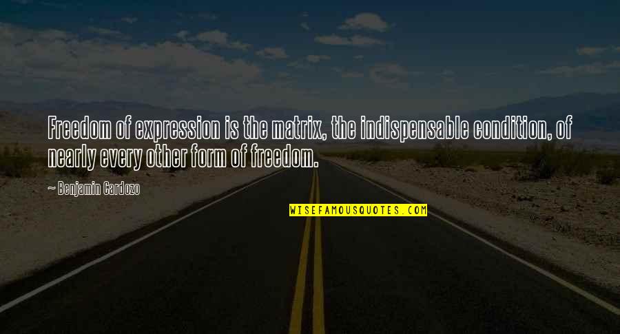 Cardozo Quotes By Benjamin Cardozo: Freedom of expression is the matrix, the indispensable