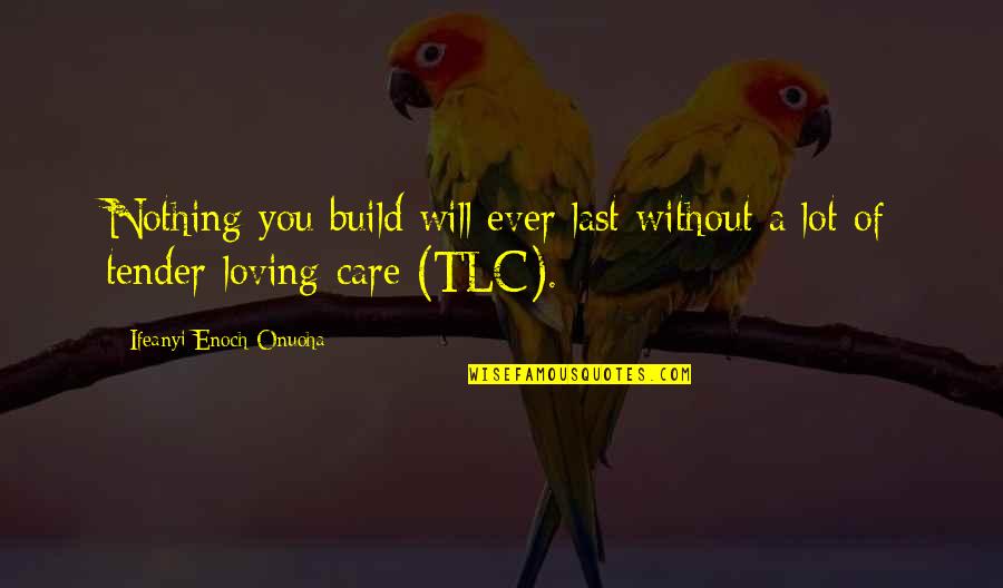 Care A Lot Quotes By Ifeanyi Enoch Onuoha: Nothing you build will ever last without a