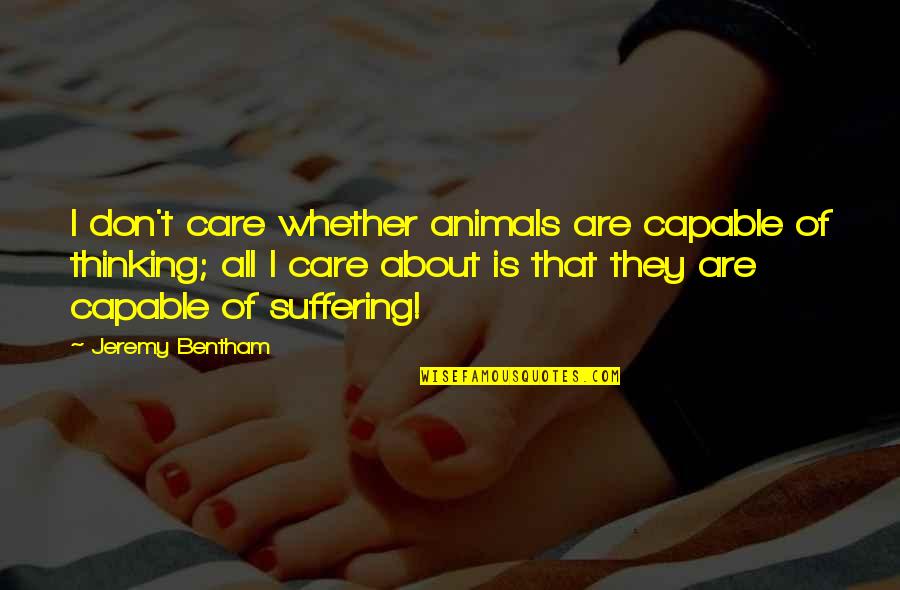 Care For Animals Quotes By Jeremy Bentham: I don't care whether animals are capable of