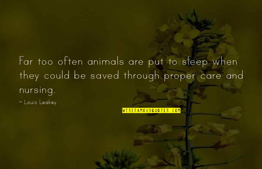 Care For Animals Quotes By Louis Leakey: Far too often animals are put to sleep