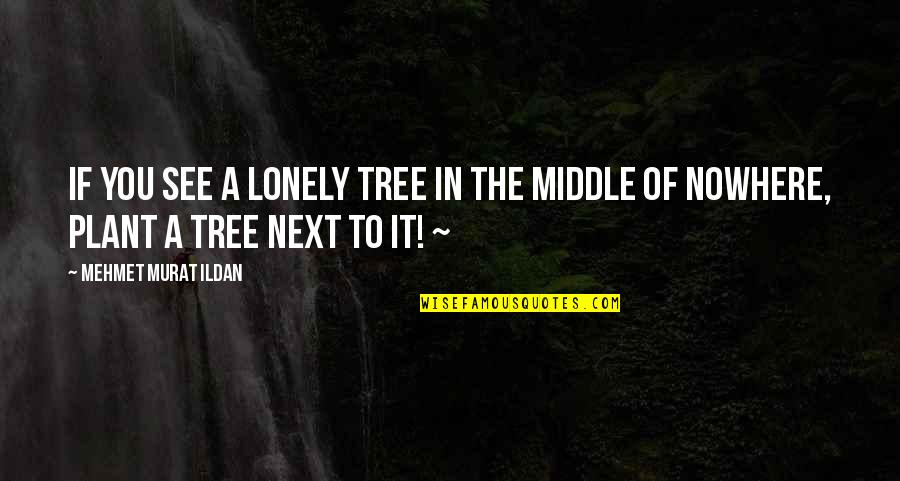 Care For Creation Quotes By Mehmet Murat Ildan: If you see a lonely tree in the