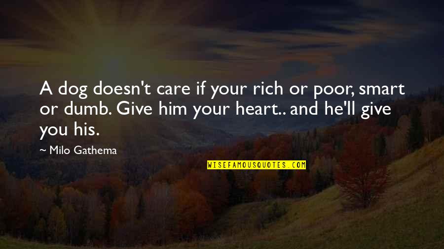 Care For The Poor Quotes By Milo Gathema: A dog doesn't care if your rich or Care For The Poor Quotes By Milo Gathema: A dog doesn't care if your rich or