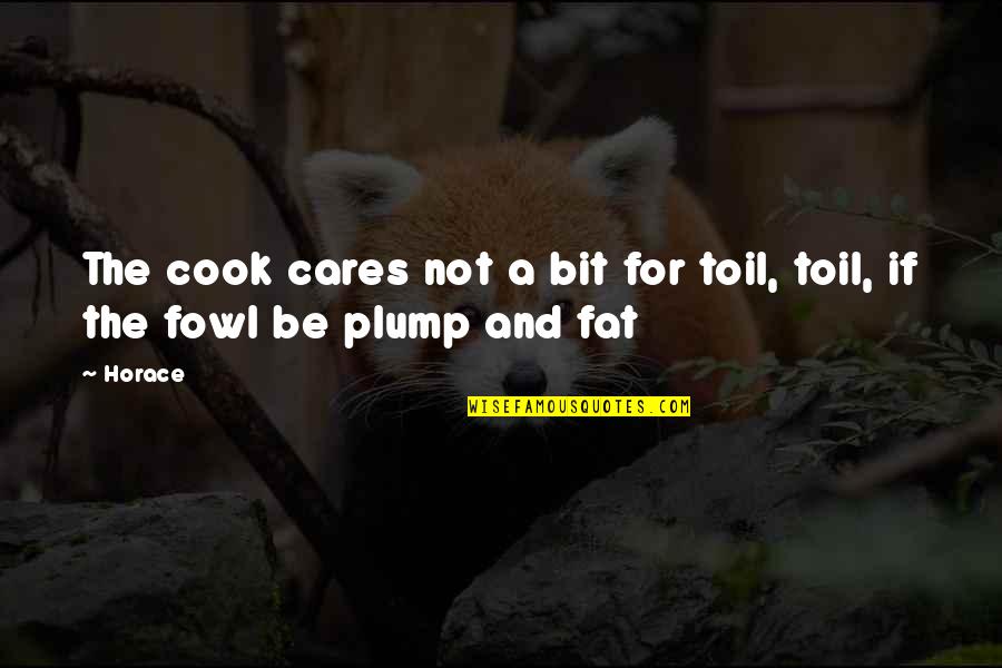 Care Not Caring Quotes By Horace: The cook cares not a bit for toil,