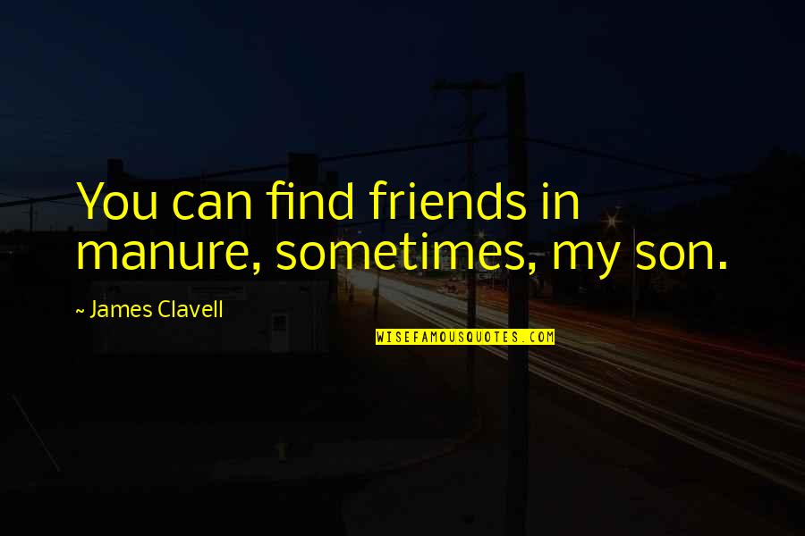 Career Advancement Quotes By James Clavell: You can find friends in manure, sometimes, my