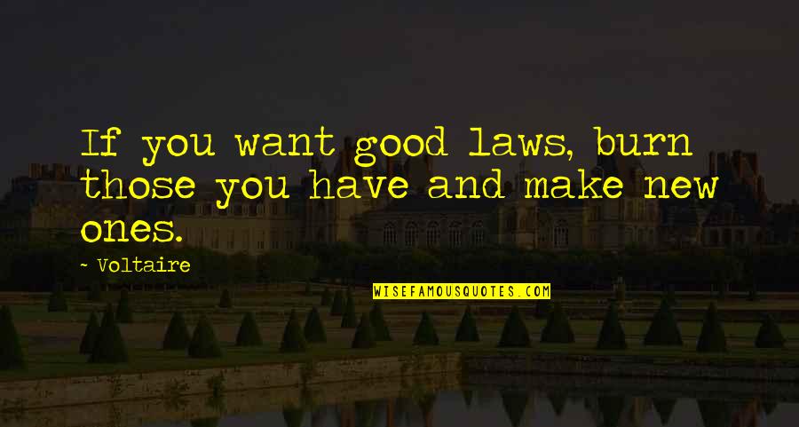 Career Service Quotes By Voltaire: If you want good laws, burn those you