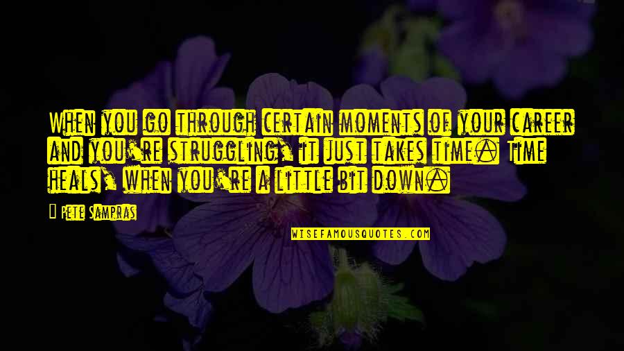 Career Struggle Quotes By Pete Sampras: When you go through certain moments of your Career Struggle Quotes By Pete Sampras: When you go through certain moments of your
