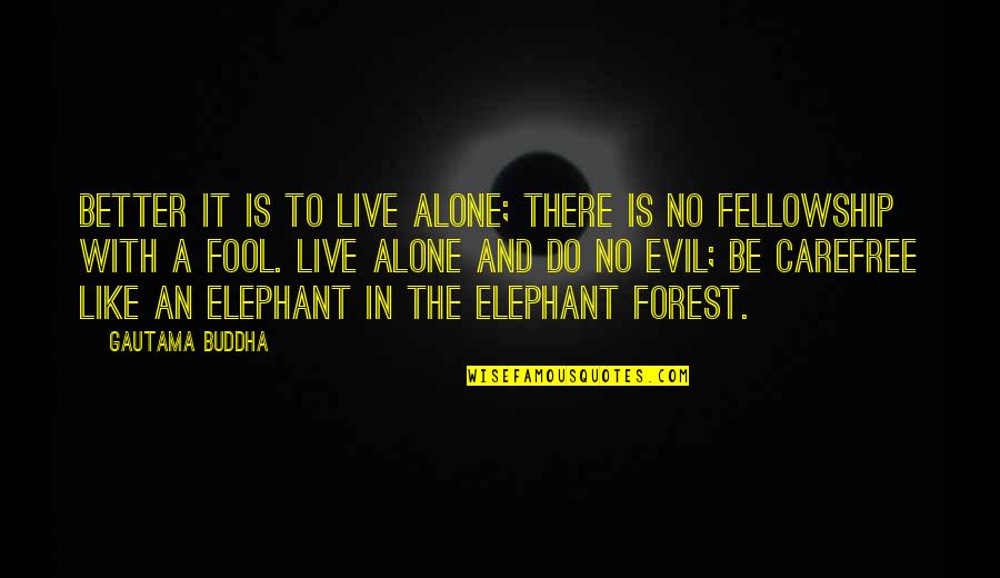 Carefree Quotes By Gautama Buddha: Better it is to live alone; there is