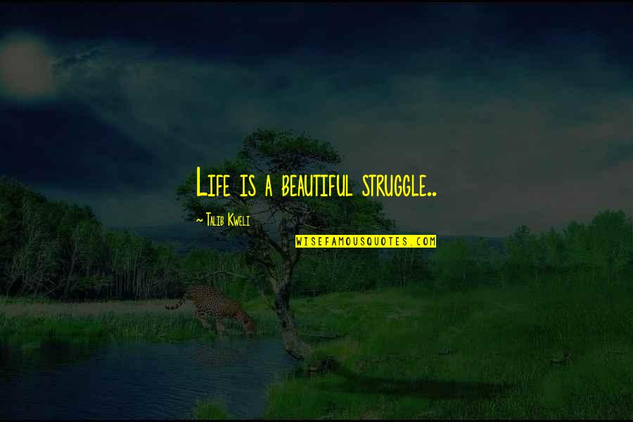 Caregiver Stress Quotes By Talib Kweli: Life is a beautiful struggle..