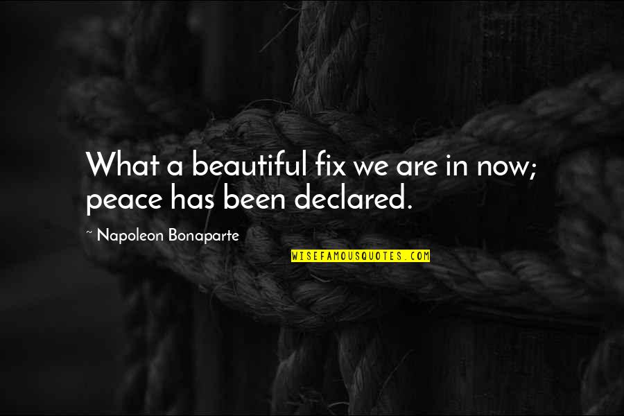 Carellis Craig Co Quotes By Napoleon Bonaparte: What a beautiful fix we are in now; Carellis Craig Co Quotes By Napoleon Bonaparte: What a beautiful fix we are in now;