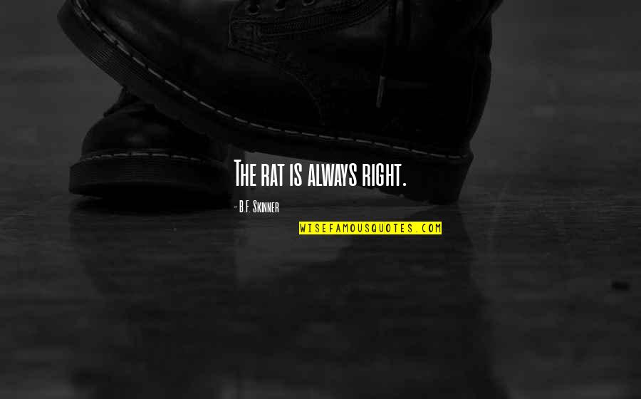 Carelock Circle Quotes By B.F. Skinner: The rat is always right. Carelock Circle Quotes By B.F. Skinner: The rat is always right.