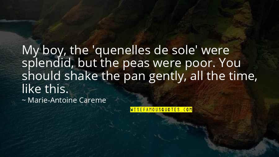 Careme Quotes By Marie-Antoine Careme: My boy, the 'quenelles de sole' were splendid,