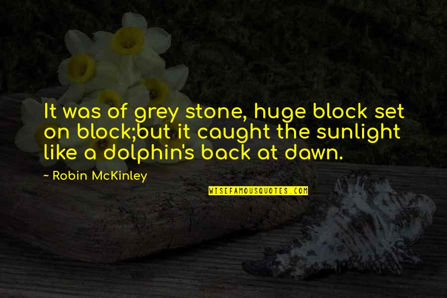 Carencias Sinonimos Quotes By Robin McKinley: It was of grey stone, huge block set
