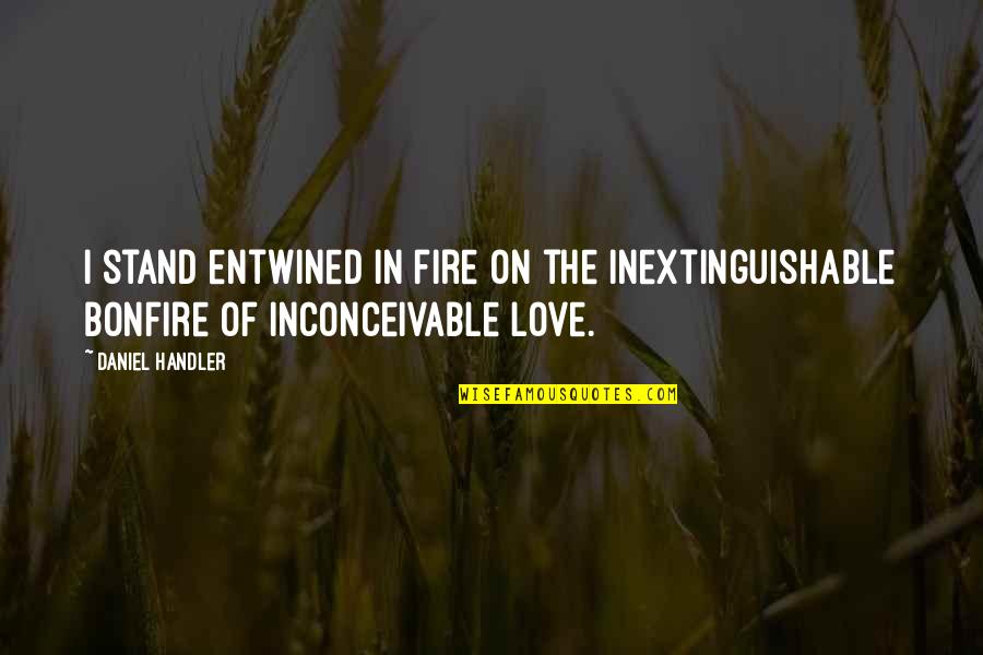 Carer Quote Quotes By Daniel Handler: I stand entwined in fire on the inextinguishable