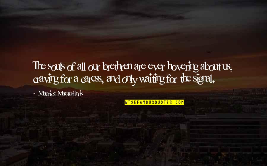 Caress'd Quotes By Maurice Maeterlinck: The souls of all our brethren are ever Caress'd Quotes By Maurice Maeterlinck: The souls of all our brethren are ever