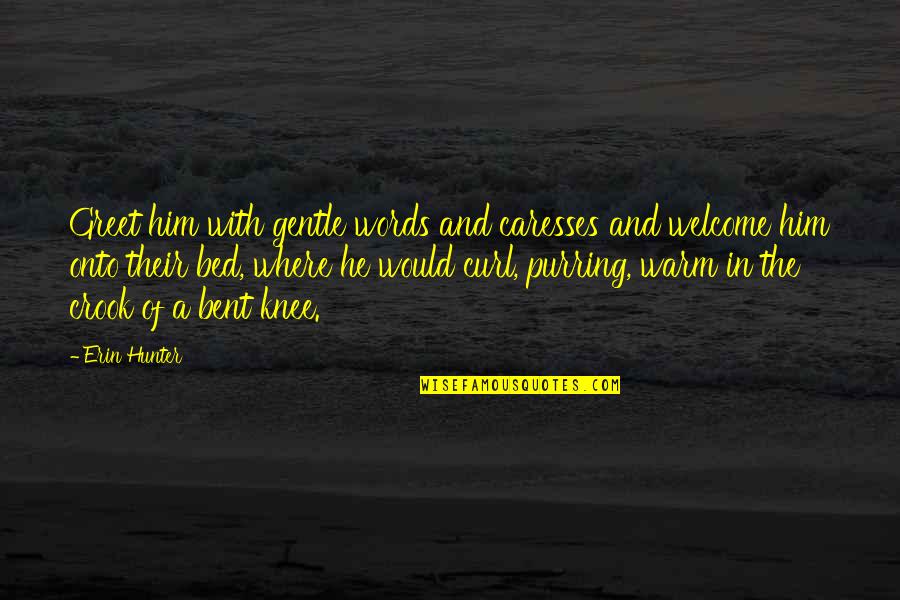 Caresses Quotes By Erin Hunter: Greet him with gentle words and caresses and Caresses Quotes By Erin Hunter: Greet him with gentle words and caresses and