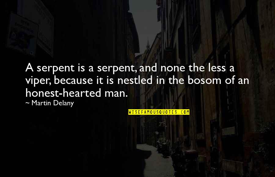 Caretaker Quotes And Quotes By Martin Delany: A serpent is a serpent, and none the