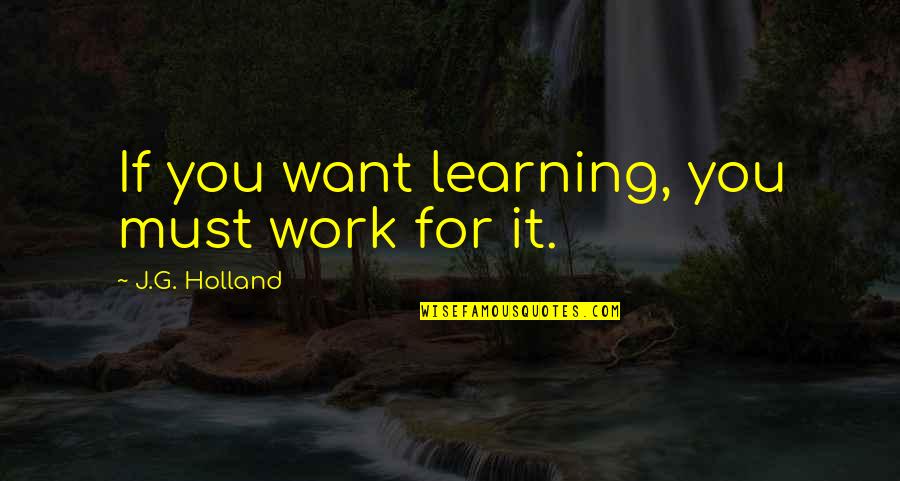 Careth Foundation Quotes By J.G. Holland: If you want learning, you must work for
