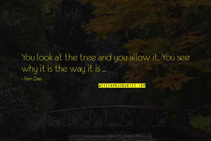 Careworn Face Quotes By Ram Dass: You look at the tree and you allow