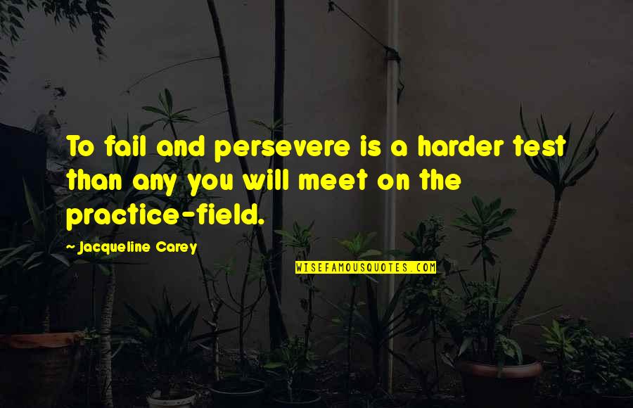 Carey Quotes By Jacqueline Carey: To fail and persevere is a harder test