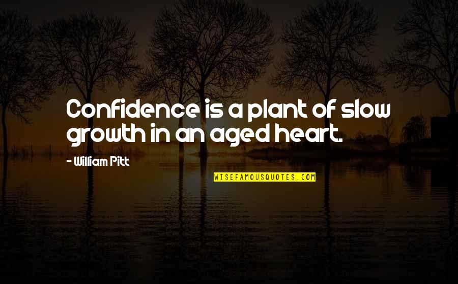 Carezza Quotes By William Pitt: Confidence is a plant of slow growth in