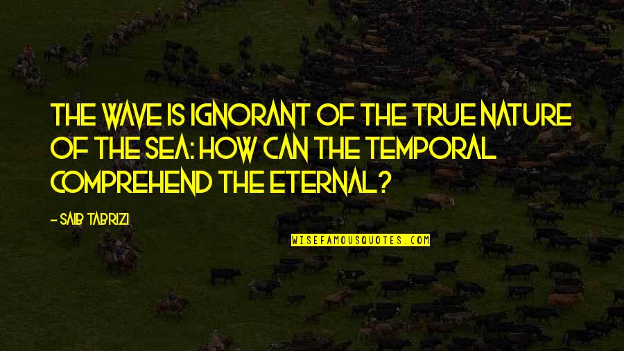Caribbeans Of The Sea Quotes By Saib Tabrizi: The wave is ignorant of the true nature Caribbeans Of The Sea Quotes By Saib Tabrizi: The wave is ignorant of the true nature