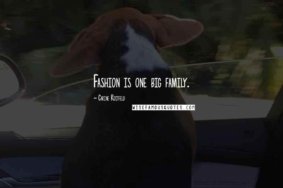 Carine Roitfeld quotes: Fashion is one big family.