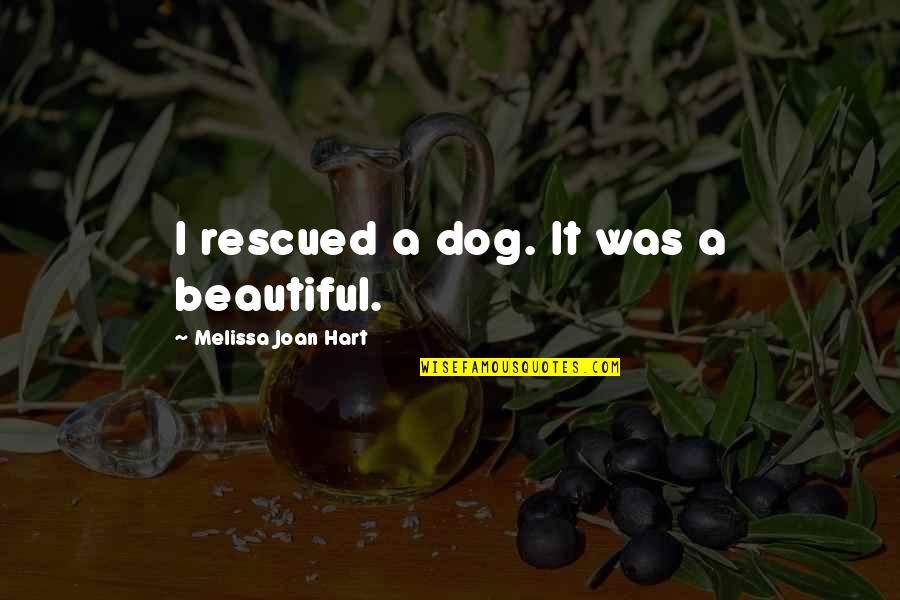 Caring About Others More Than Yourself Quotes By Melissa Joan Hart: I rescued a dog. It was a beautiful.