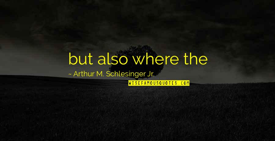 Caring For Someone No Matter What Quotes By Arthur M. Schlesinger Jr.: but also where the
