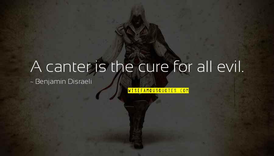 Caring For Your Health Quotes By Benjamin Disraeli: A canter is the cure for all evil.