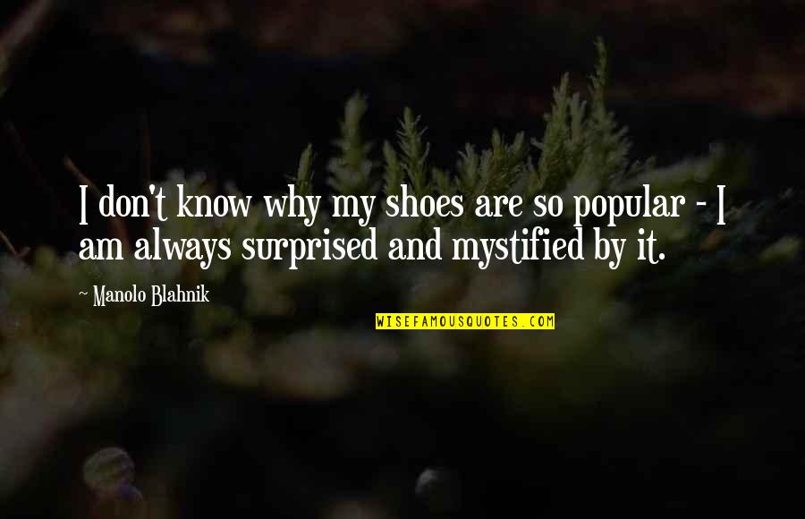 Carinne Drop Quotes By Manolo Blahnik: I don't know why my shoes are so