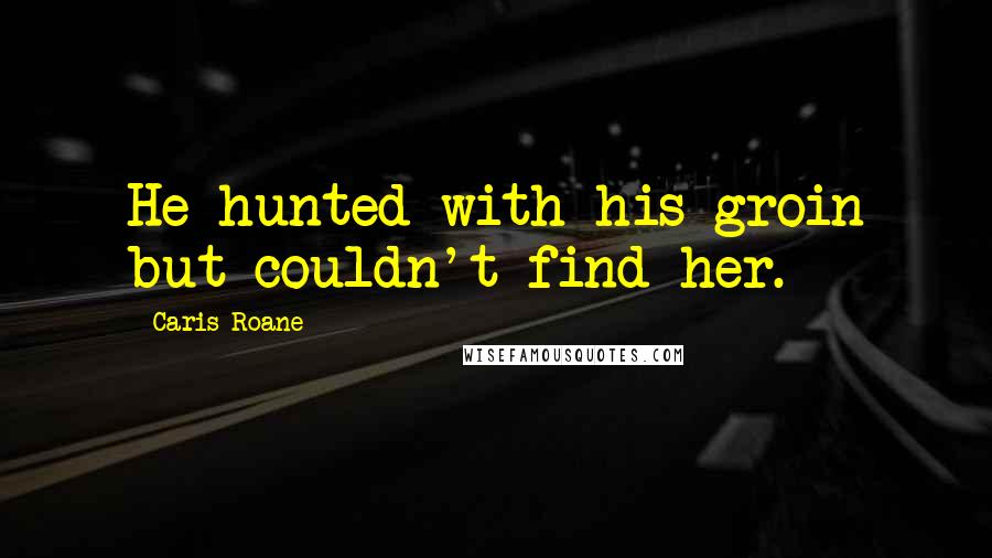 Caris Roane quotes: He hunted with his groin but couldn't find her.