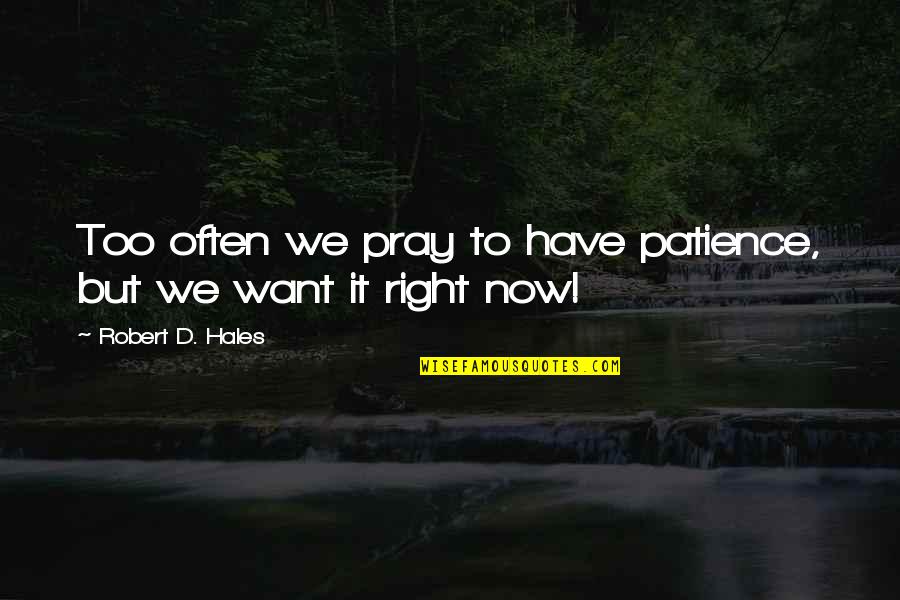 Carishma Khubani Quotes By Robert D. Hales: Too often we pray to have patience, but Carishma Khubani Quotes By Robert D. Hales: Too often we pray to have patience, but