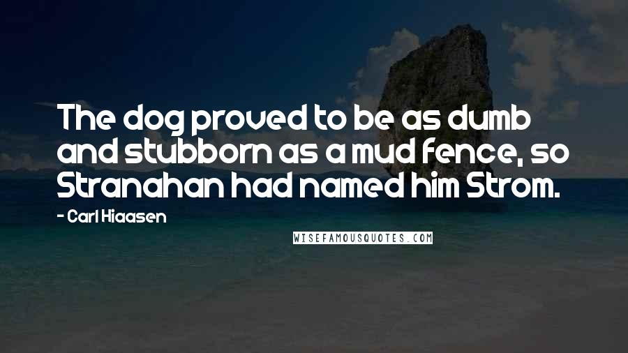 Carl Hiaasen quotes: The dog proved to be as dumb and stubborn as a mud fence, so Stranahan had named him Strom.
