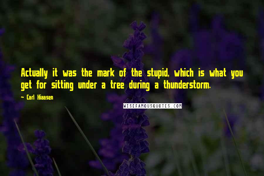 Carl Hiaasen quotes: Actually it was the mark of the stupid, which is what you get for sitting under a tree during a thunderstorm.