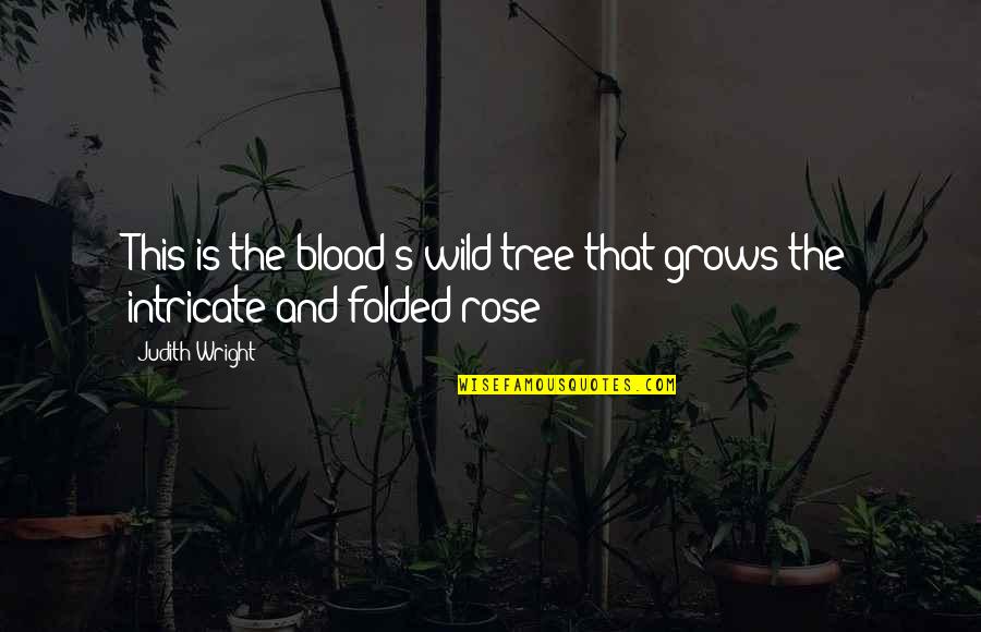 Carl Lee Hailey Quotes By Judith Wright: This is the blood's wild tree that grows