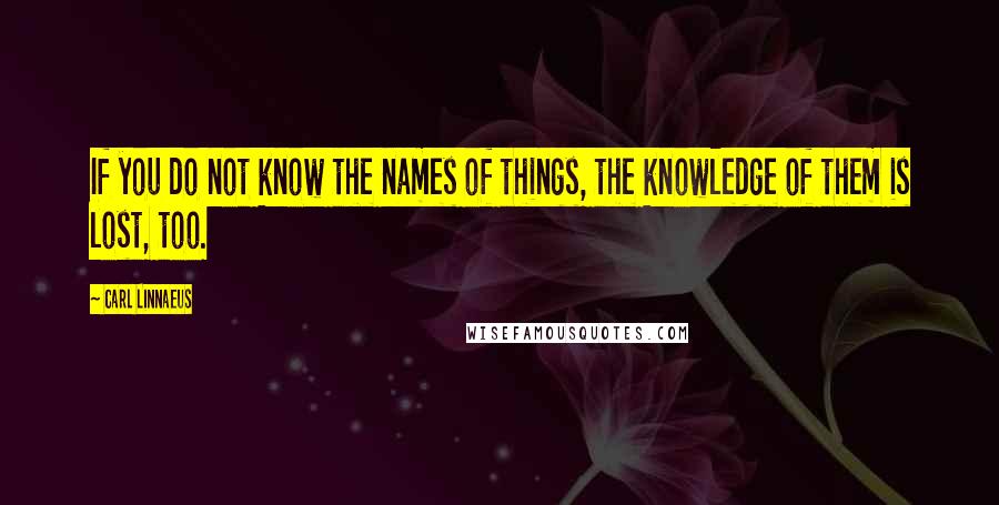 Carl Linnaeus quotes: If you do not know the names of things, the knowledge of them is lost, too.
