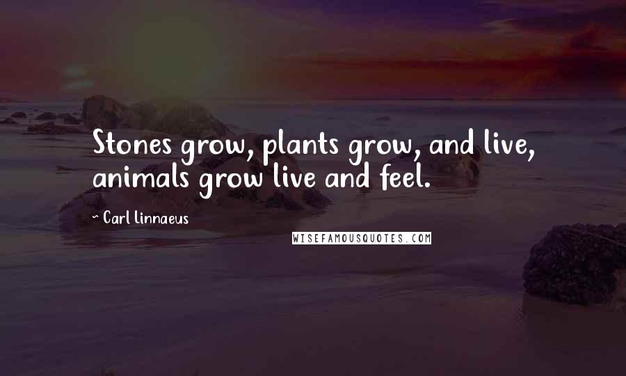 Carl Linnaeus quotes: Stones grow, plants grow, and live, animals grow live and feel.