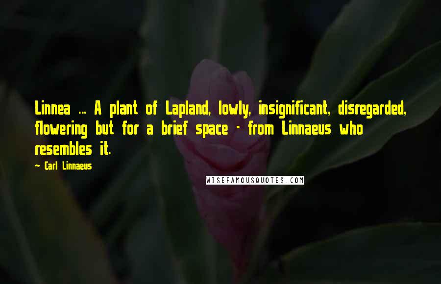 Carl Linnaeus quotes: Linnea ... A plant of Lapland, lowly, insignificant, disregarded, flowering but for a brief space - from Linnaeus who resembles it.