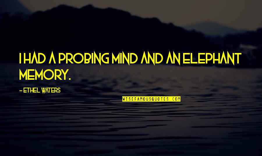 Carl Mannerheim Quotes By Ethel Waters: I had a probing mind and an elephant Carl Mannerheim Quotes By Ethel Waters: I had a probing mind and an elephant