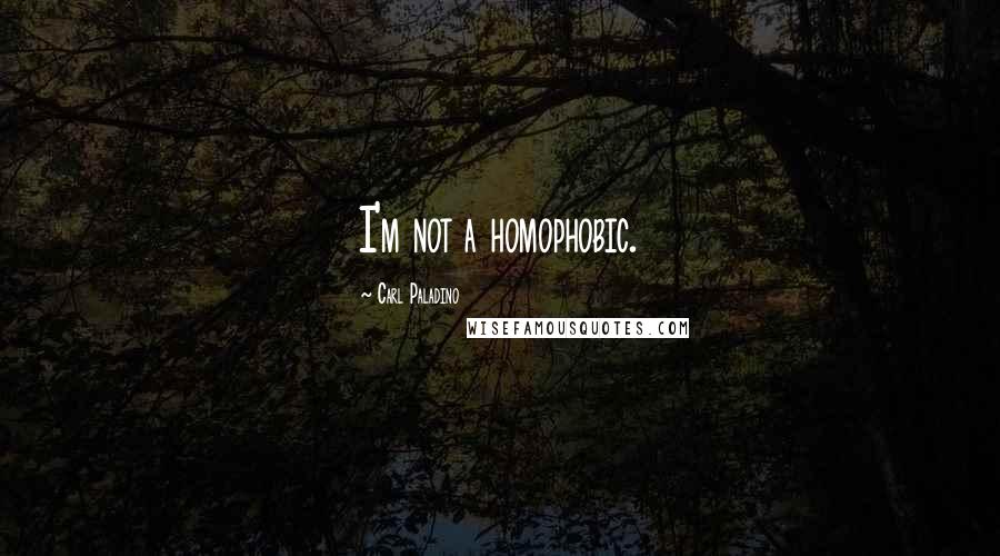 Carl Paladino quotes: I'm not a homophobic.