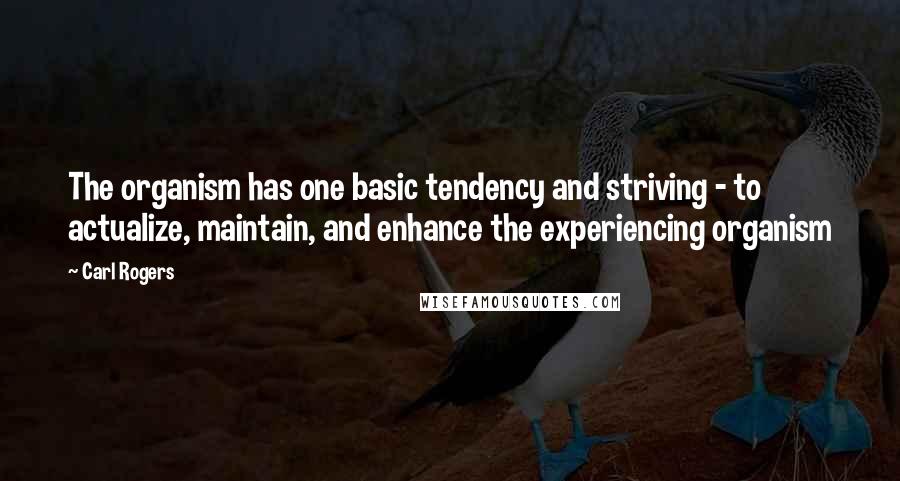 Carl Rogers quotes: The organism has one basic tendency and striving - to actualize, maintain, and enhance the experiencing organism