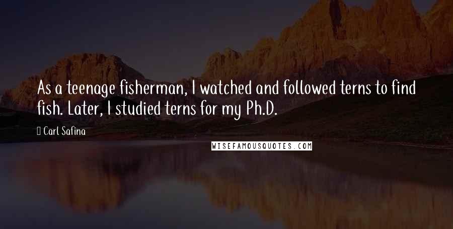 Carl Safina quotes: As a teenage fisherman, I watched and followed terns to find fish. Later, I studied terns for my Ph.D.