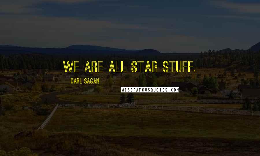 Carl Sagan quotes: We are all star stuff.