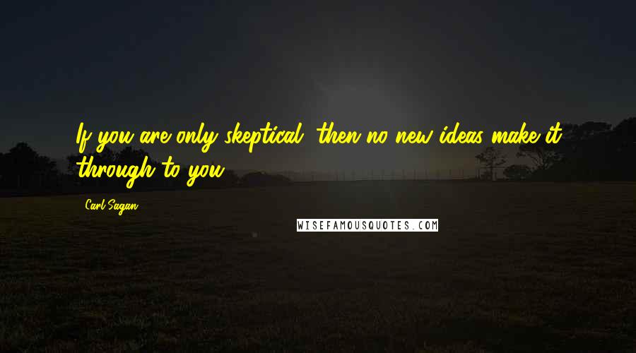 Carl Sagan quotes: If you are only skeptical, then no new ideas make it through to you.