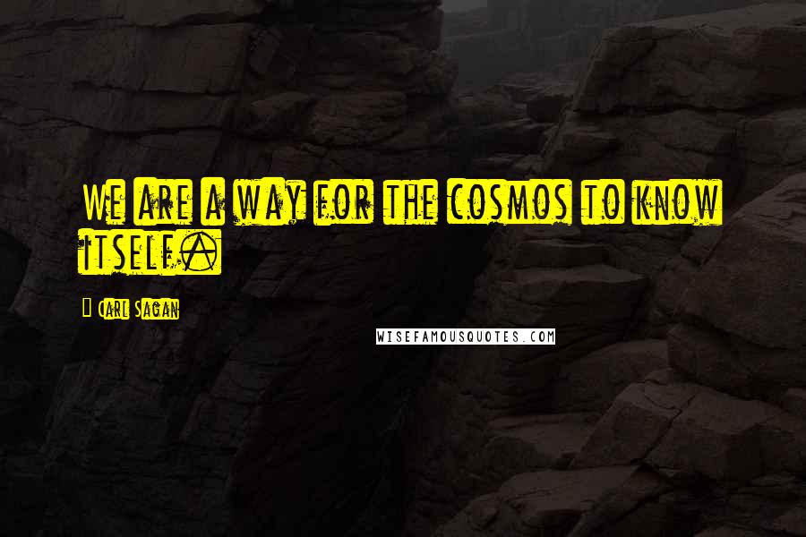 Carl Sagan quotes: We are a way for the cosmos to know itself.